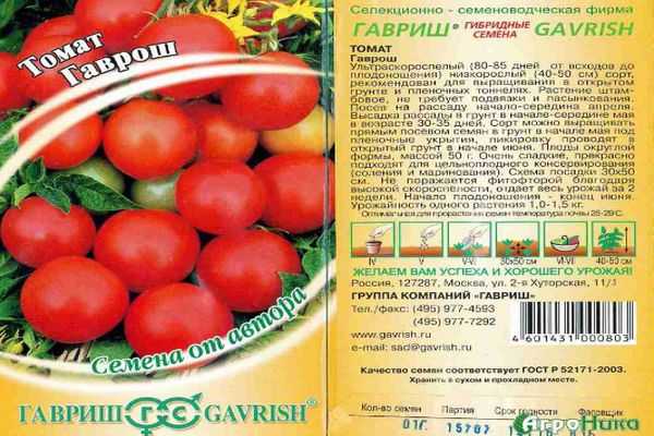 Характеристика российского томата Гаврош и особенности выращивания сорта
