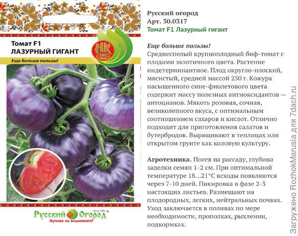 Томат сахарный гигант характеристика и описание сорта — помидоры сахарок