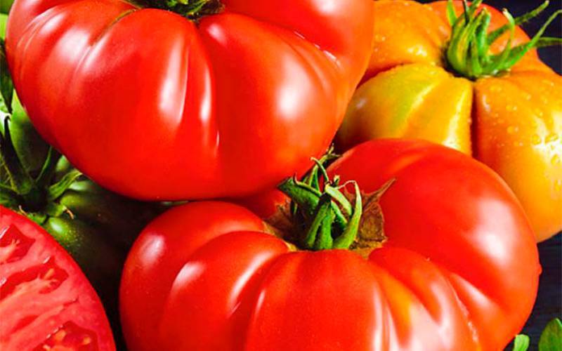 Выращиваем самостоятельно крупные помидоры со сладкой, сочной, зернистой мякотью: томат «сердце буйвола»
