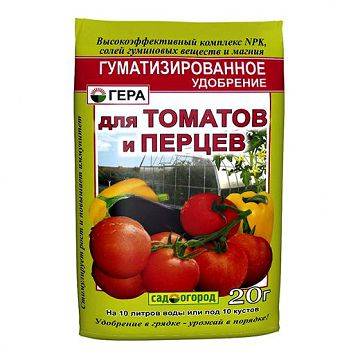 Знакомство с миниатюрными помидорами бонсай и практические рекомендации по их выращиванию дома