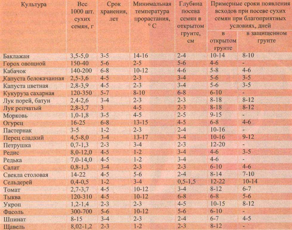 Сколько хранятся семена овощных культур