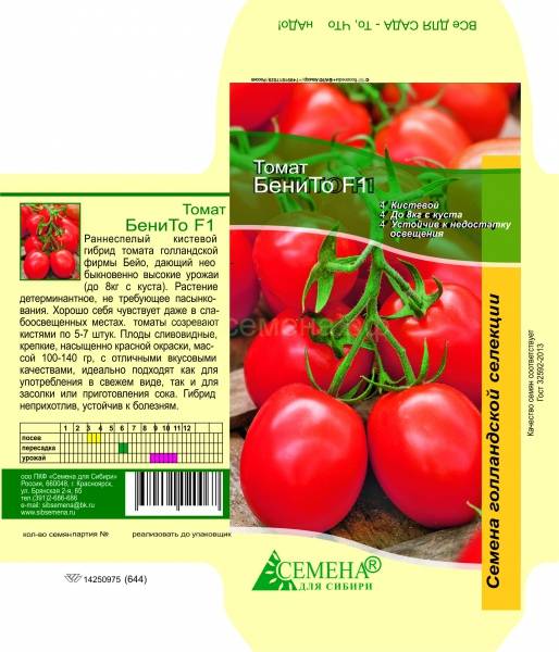 Белфаст: советы по уходу и описание крупноплодного томата