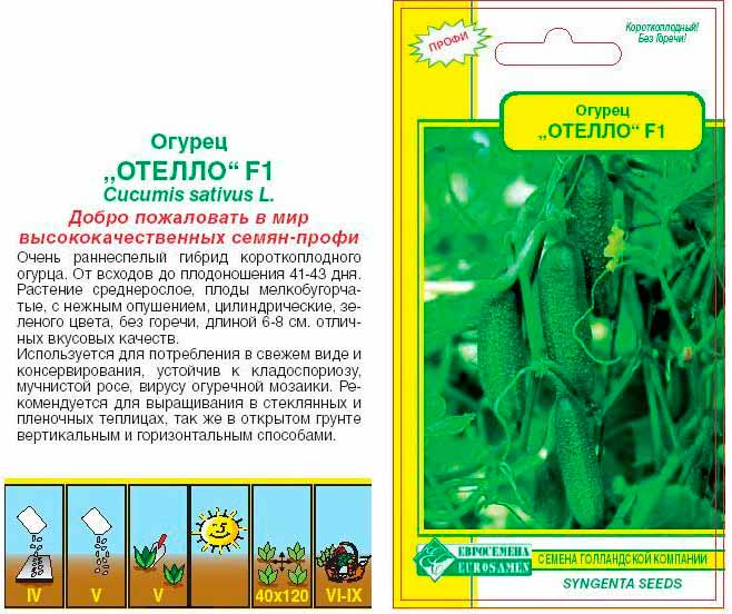 Сорт огурцов отелло f1: характеристика, описание с фото, отзывы