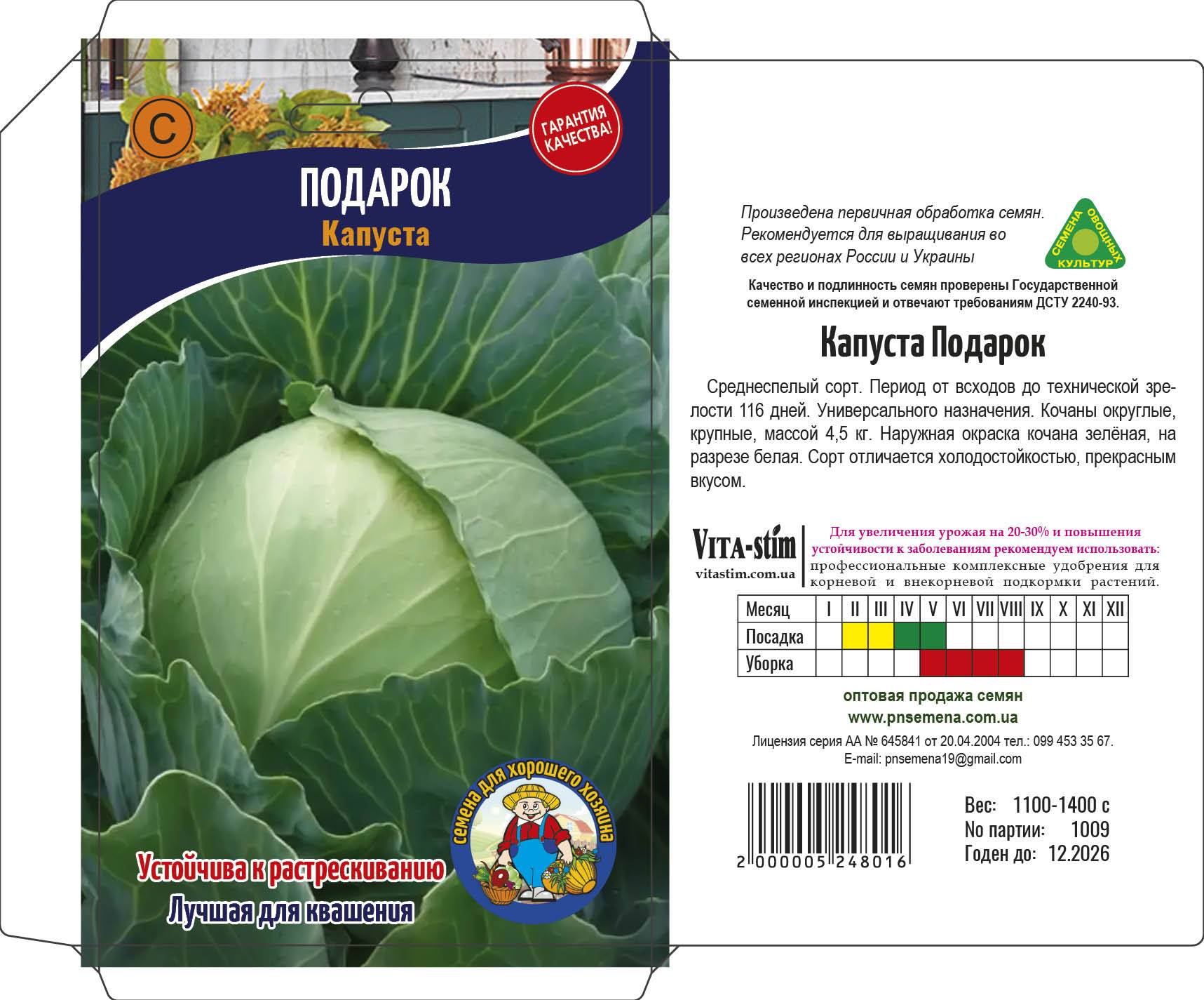 Капуста белорусская: описание сорта с фото, выращивание, отзывы тех, кто сажал