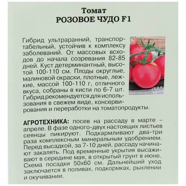 Томат «розовая стелла»: отзывы, уход, описание сорта и урожайность