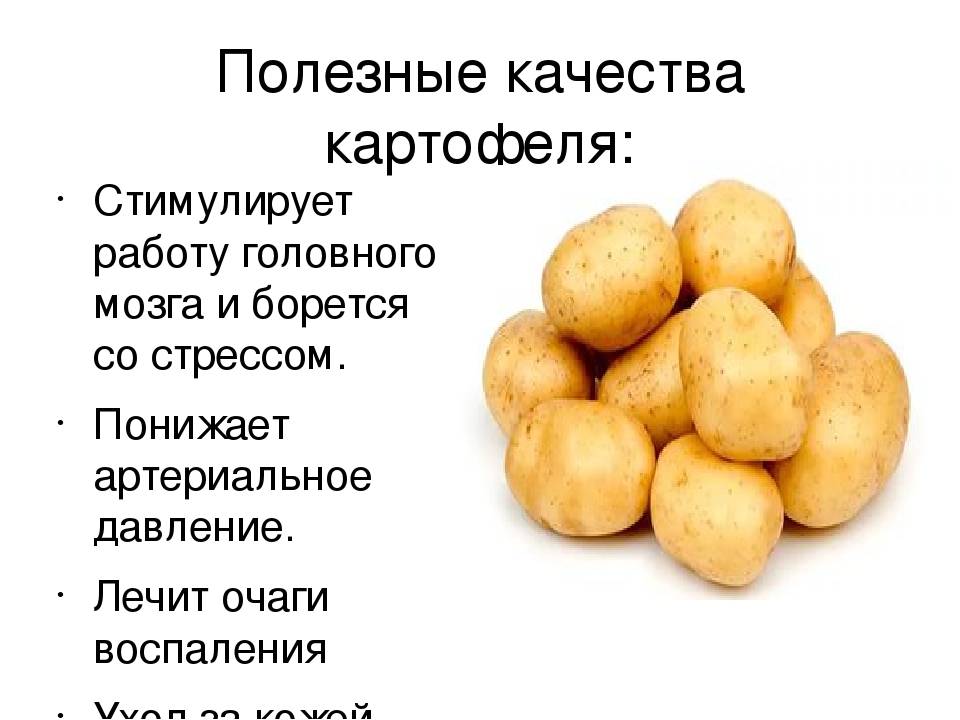 Вареная картошка - польза и вред для здоровья организма