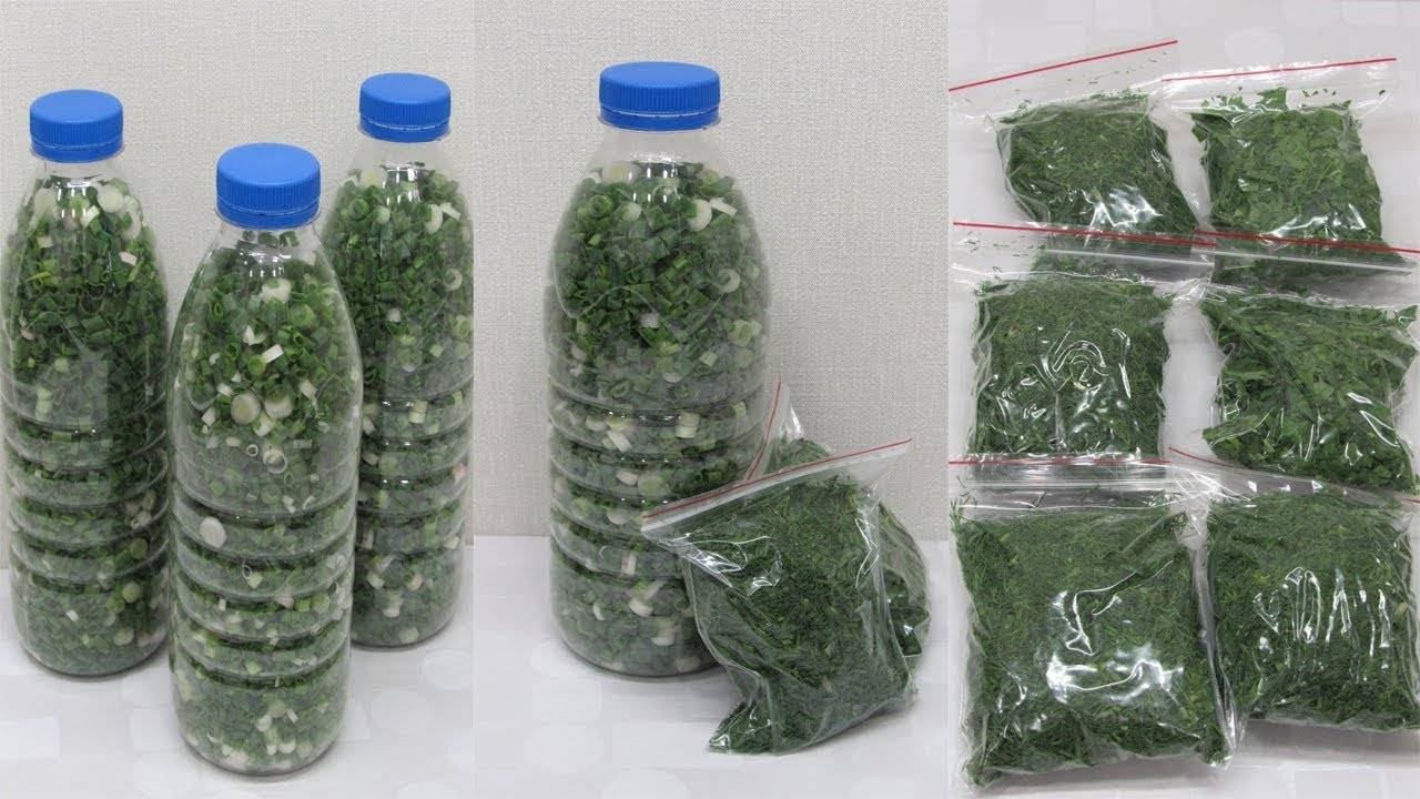 Можно ли замораживать зелёный лук на зиму: в морозилке или холодильнике, в домашних условиях, как использовать после заморозки