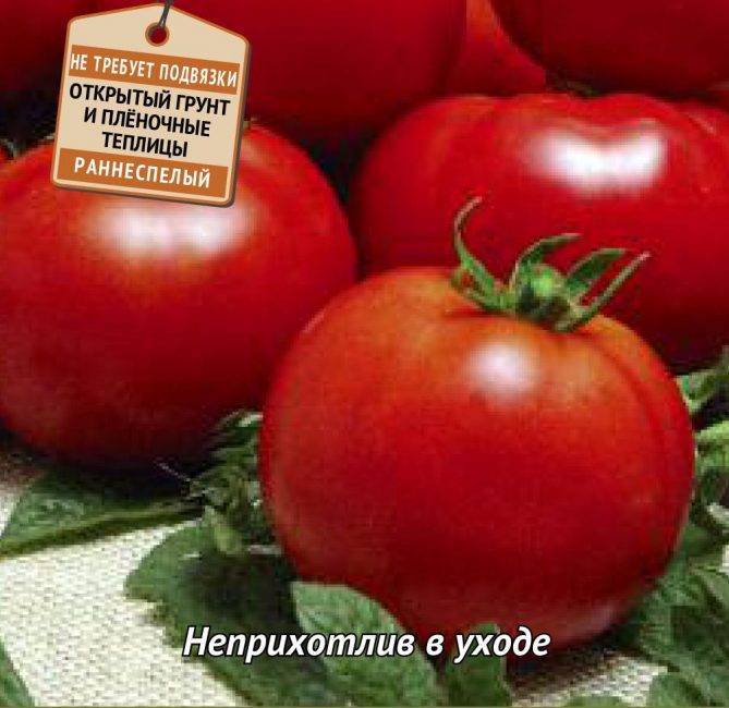 ᐉ томат сват характеристика и описание сорта - zooshop-76.ru