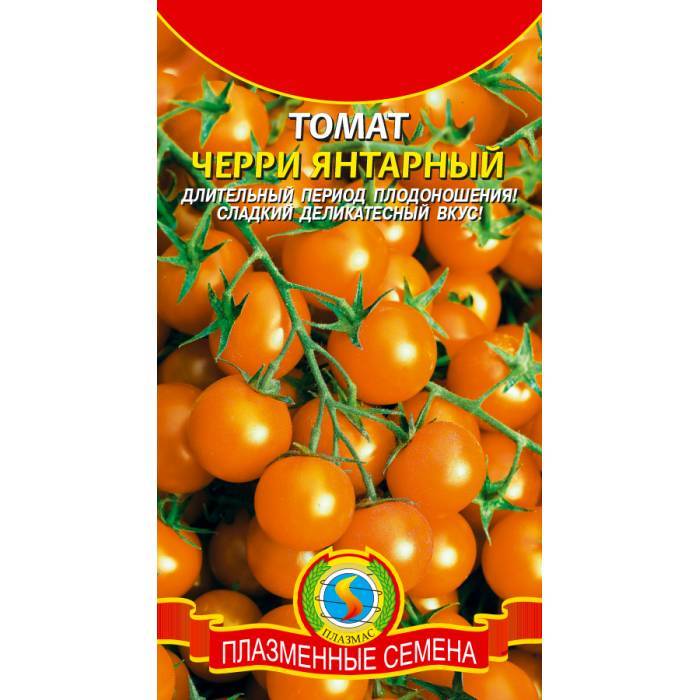 Описание сорта томата янтарный 530, урожайность и характеристика