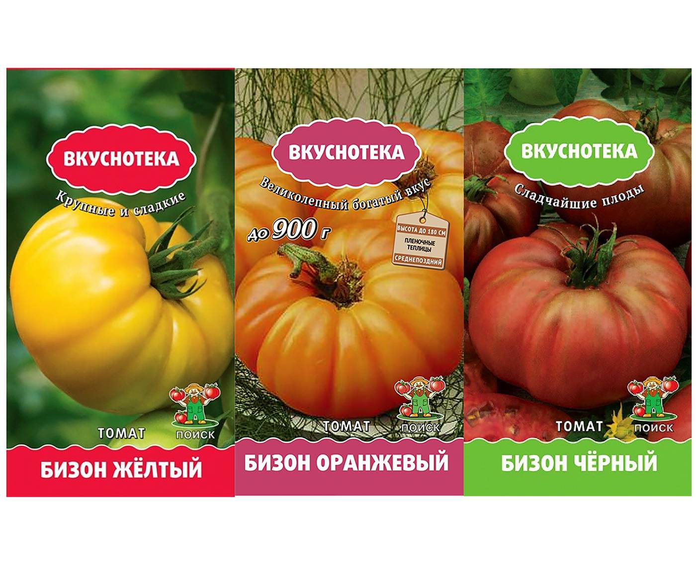 Описание томата Бизон оранжевый, преимущества и агротехника выращивания