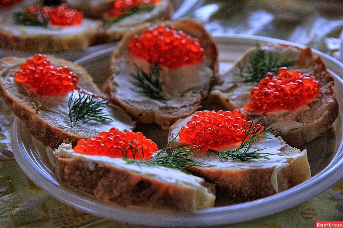 Бутерброды на праздничный стол — 20 простых и вкусных рецептов