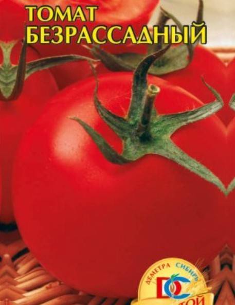 Как вырастить помидоры без рассады: в открытом грунте и теплице