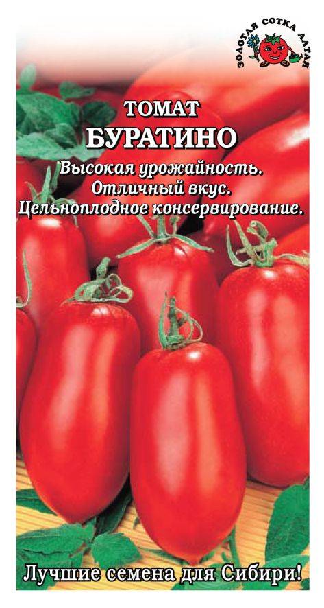 Помидор пиноккио: описание и характеристика сорта, особенности выращивания, ухода за томатами, отзывы, фото