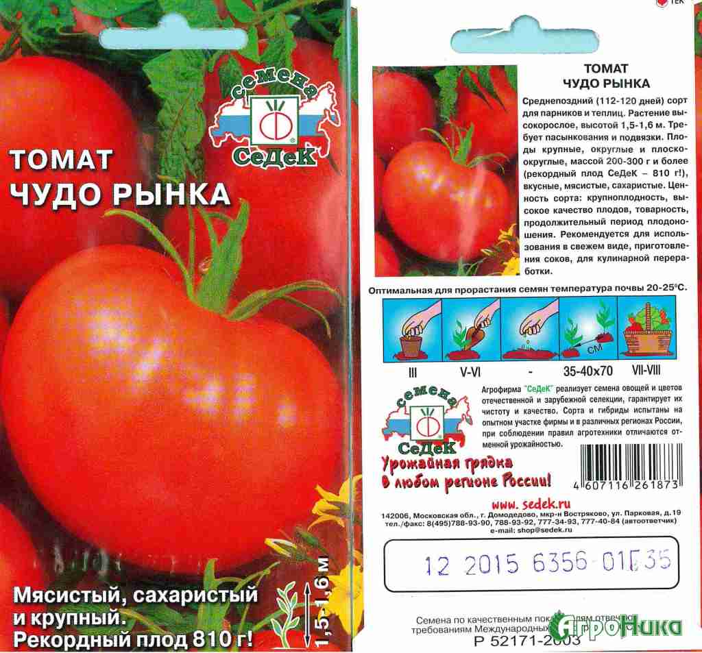 Помидоры спрут особенности выращивания томатного дерева