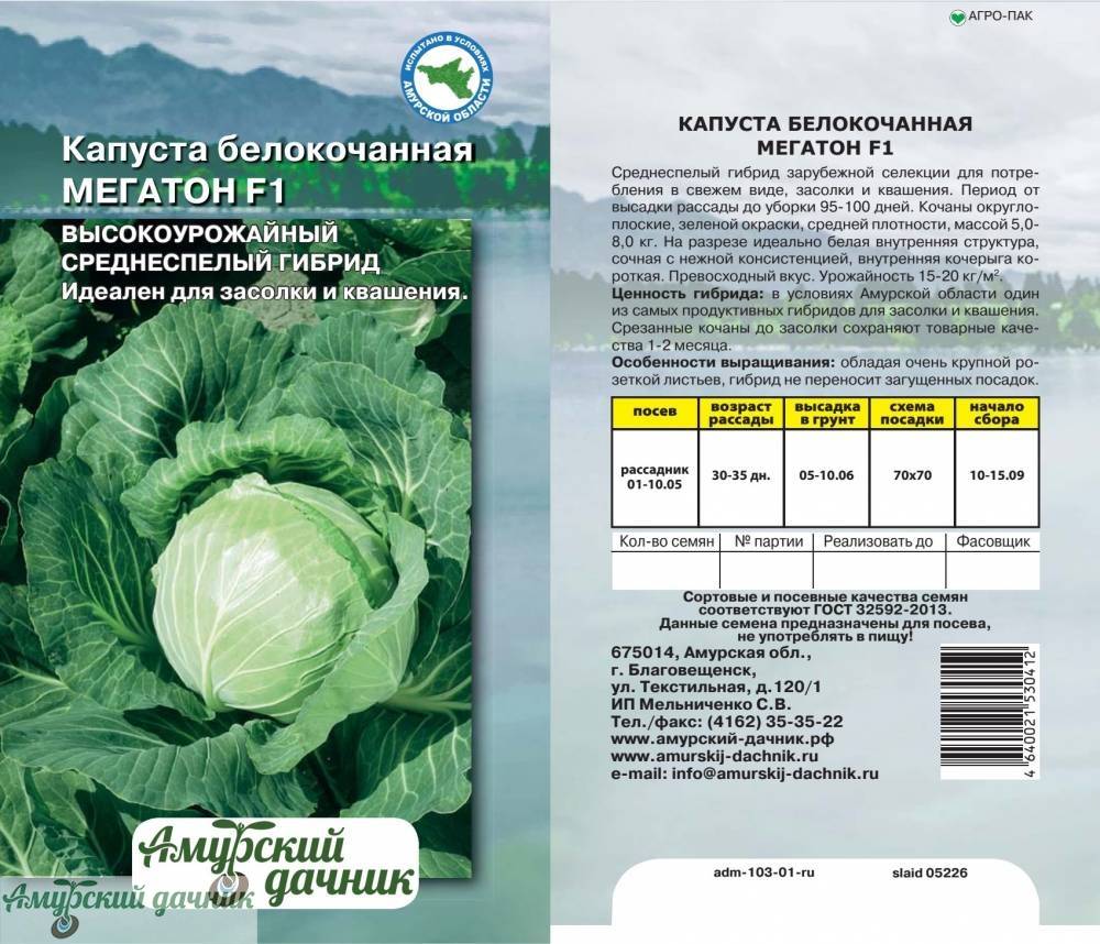 Описание сорта капусты бригадир f1, особенности выращивания и урожайность