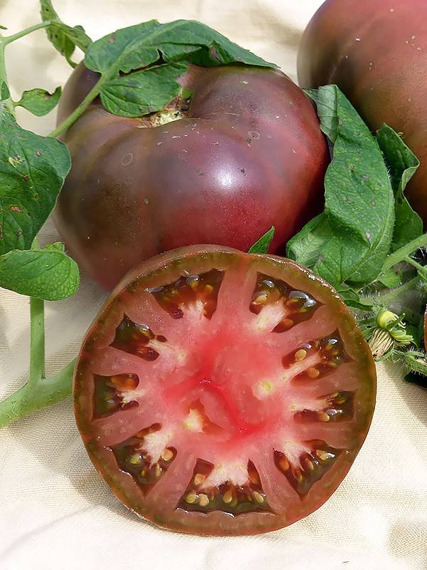 Томат брендивайн (brandywine): характеристика и описание сорта, фото куста и отзывы об урожайности красных помидоров