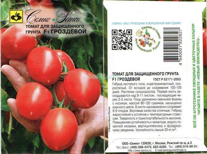 Томат сибирский гроздевой: характеристика и описание сорта от сиб сад, отзывы об урожайности помидоров, фото куста