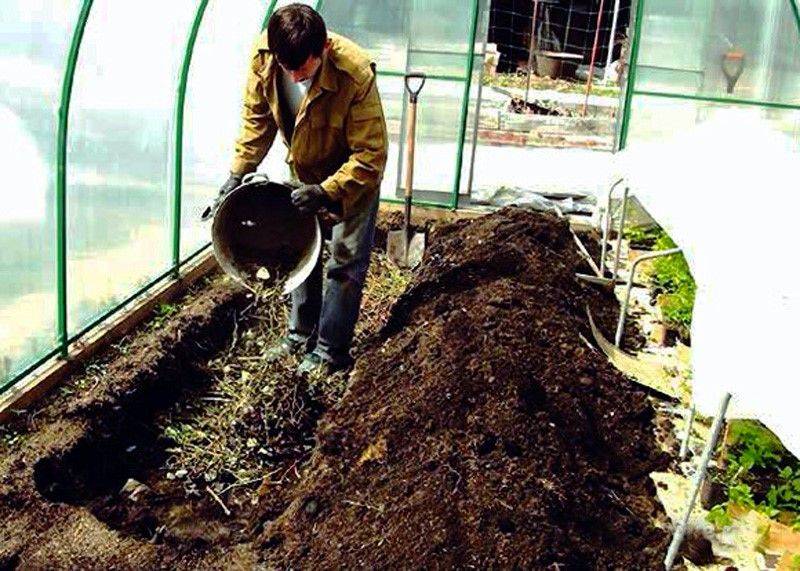 Подготовка почвы для посадки огурцов | огородник