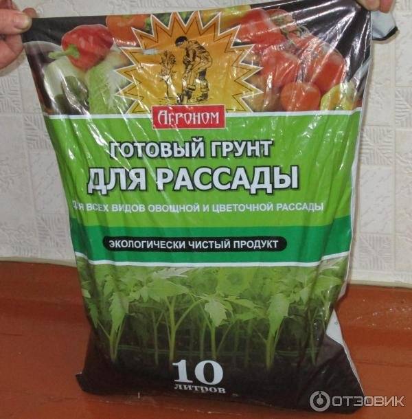 Как приготовить землю для рассады помидоров дома: правила подготовки грунта в домашних условиях