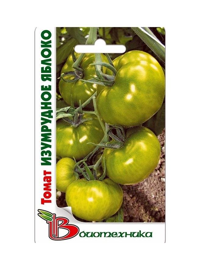 ᐉ томат "изумрудное яблоко": описание сорта помидоров, правила выращивания - orensad198.ru
