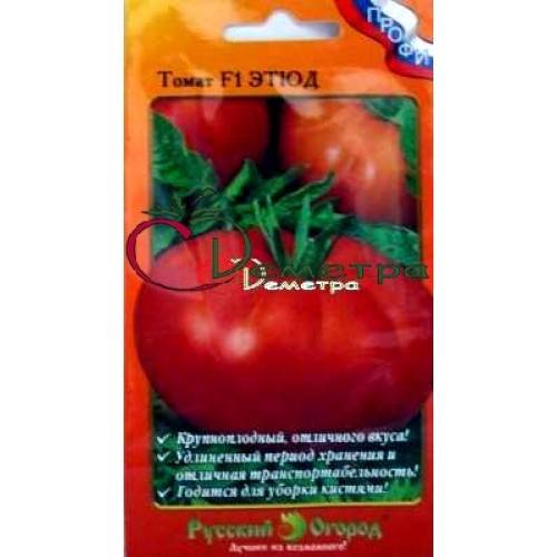 Семена томатов сибирской селекции: 60 самых урожайных сортов