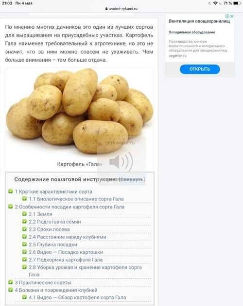 Описание и характеристики сорта картофеля Каменский
