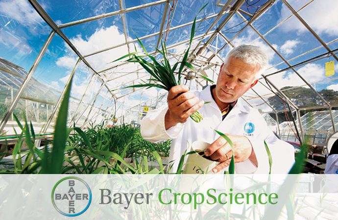 Рейтинг, описание и отзывы о производителе агрофирме Bayer Crop Sciense