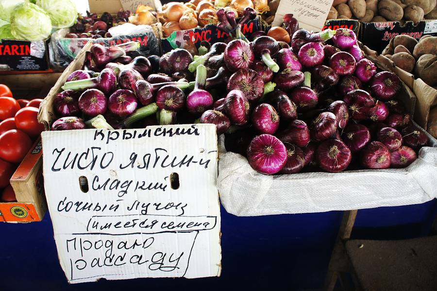 Ялтинский красный лук — чем полезен, как выращивать и хранить крымский плоский