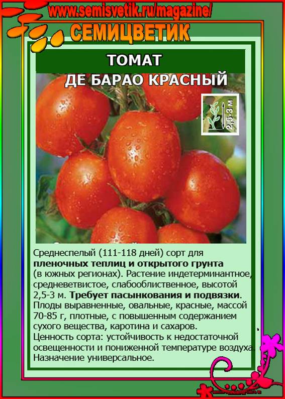 Кистевые томаты для теплиц и открытого грунта - 10 сортов кистевых, лучшие помидоры