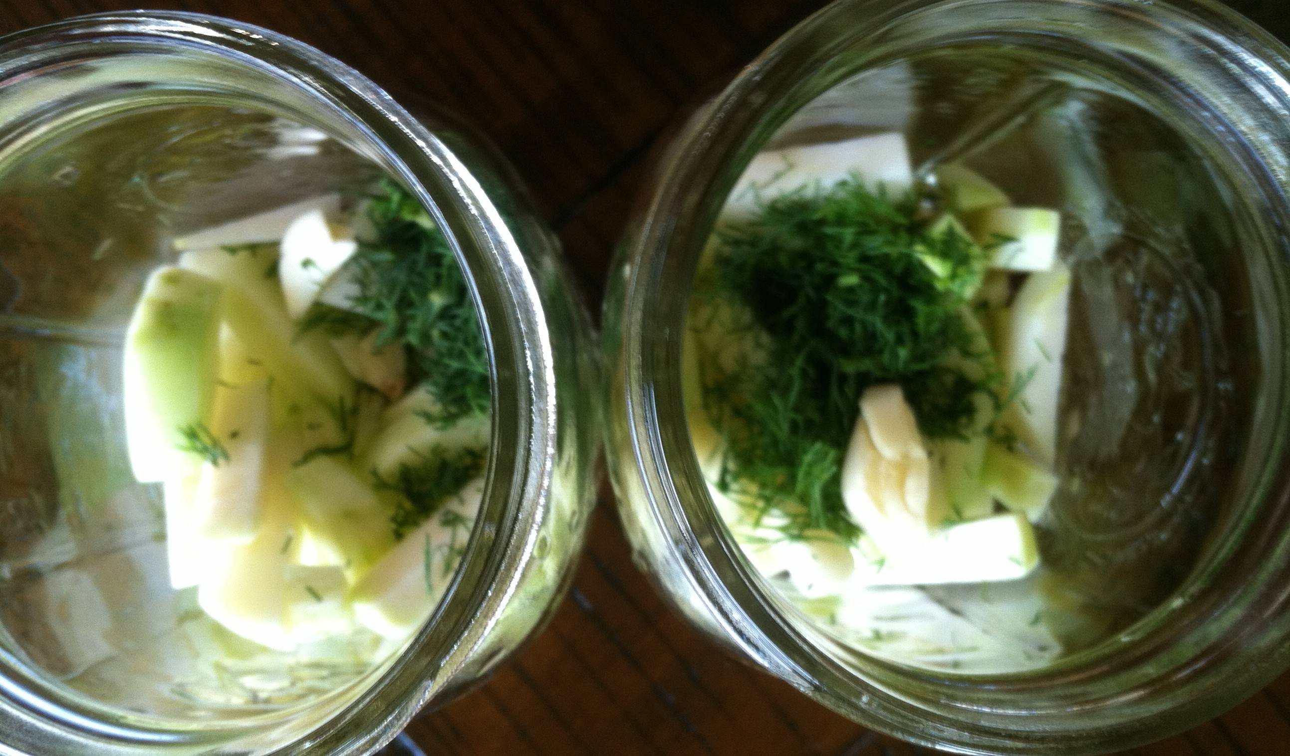 Рецепты приготовления капусты кольраби на зиму со стерилизацией и без, заморозка и хранение