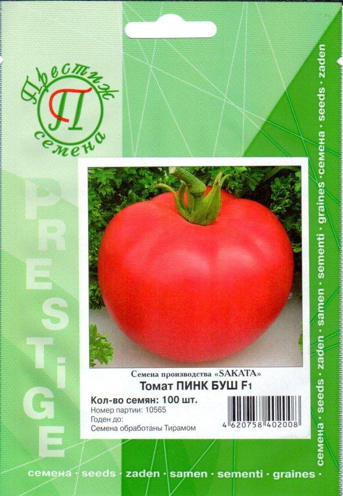 ✅ пинк буш: описание сорта томата, характеристики помидоров, посев