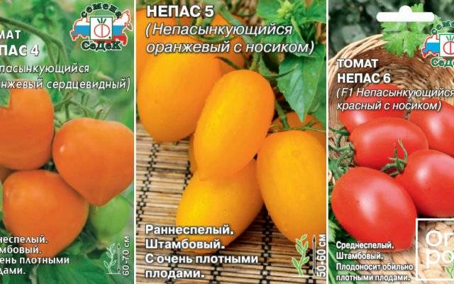Непасынкующиеся сорта томатов для открытого грунта: отзывы и фото
