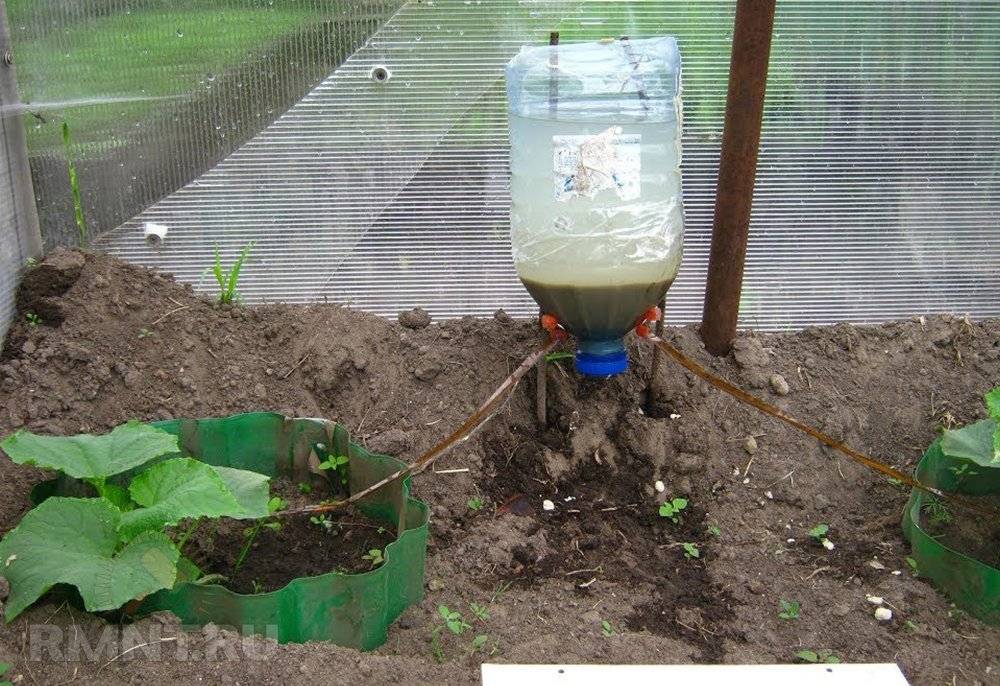 Капельный полив своими руками из пластиковых бутылок - для огурцов и помидоров в теплице - мк с фото и видео