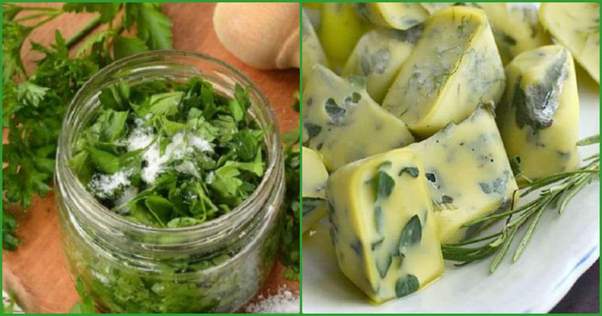 12 лучших рецептов приготовления зелени на зиму в домашних условиях