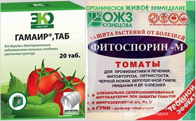 Обработка томатов от болезней и вредителей: чем брызгать, препараты, лучшие средства