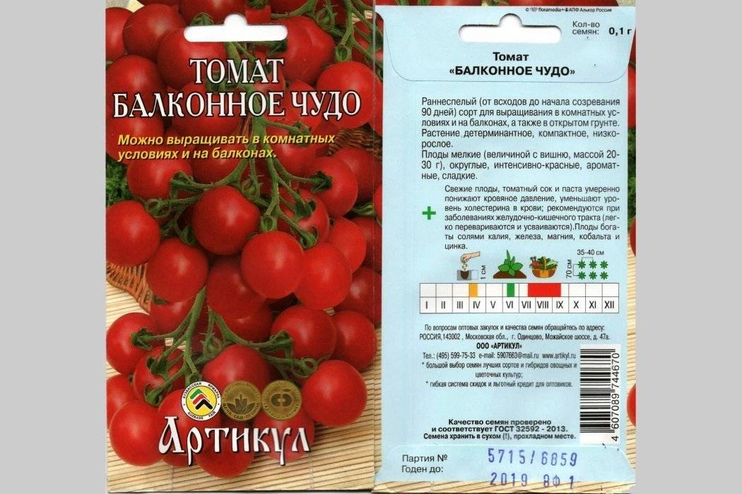 Описание и характеристики помидоров Балконное чудо, выращивание в домашних условиях