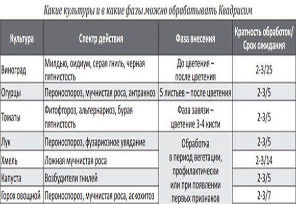 Фалькон срок ожидания