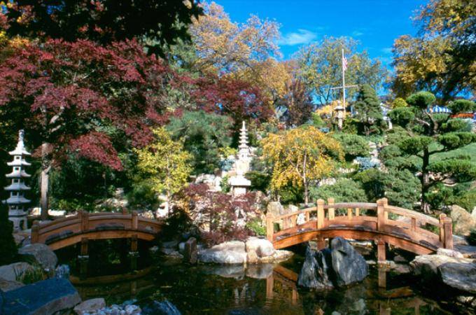 Японский садик на даче своими руками: расскажем и покажем, как сделать