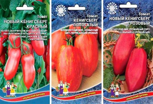 Томат кенигсберг: отзывы, фото, урожайность, описание и характеристика | tomatland.ru