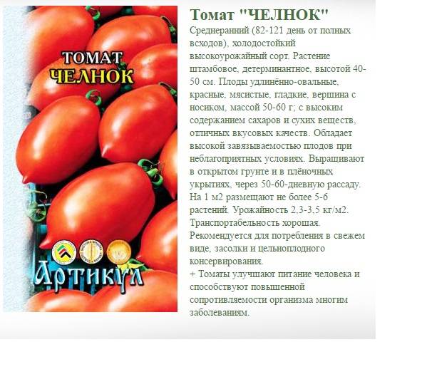Сорта помидоры томат акварель, аврора.