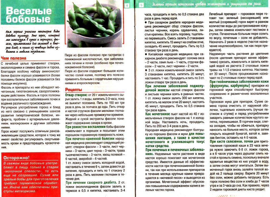 Створки фасоли: полезные, лечебные свойства и противопоказания, фасолевые стручки в народной медицине, рецепты