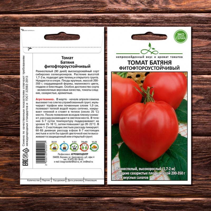 Полезная информация о сорте томатов с «сибирским характером» батяня