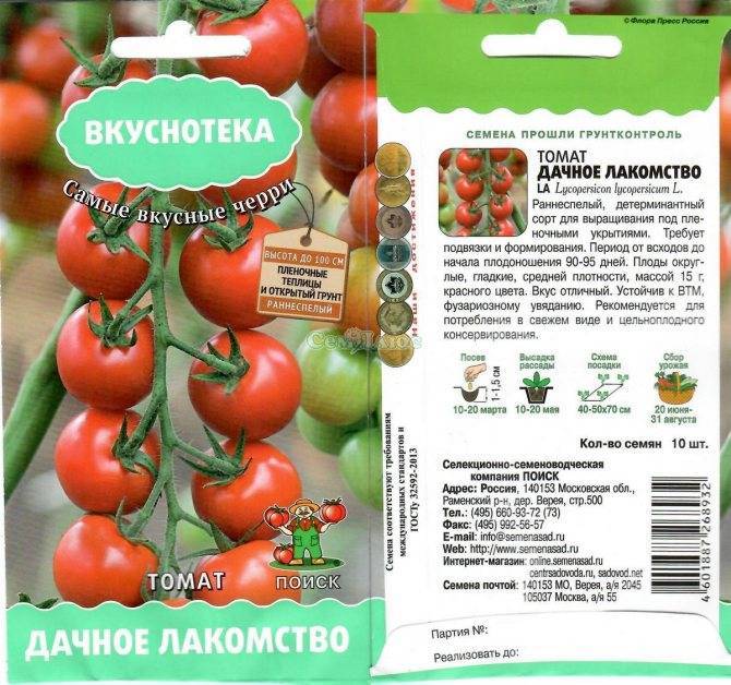 Томат "дачник": характеристика и описание сорта помидор с фото, отзывы дачников об урожайности