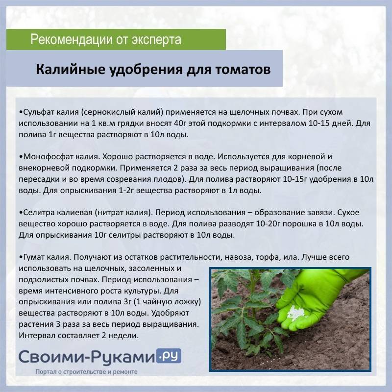 Подкормка огурцов мочевиной: описание удобрения | огородник