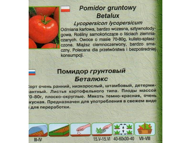 Характеристика компактного и раннеспелого томата сорта Беталюкс, выращивание и уход