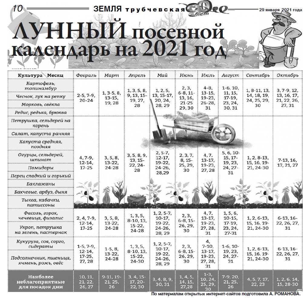 Лунный календарь садовода и огородника на сентябрь 2022 года: благоприятные дни