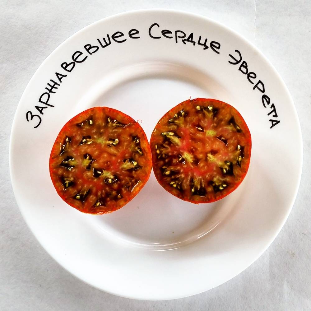 Красивые помидоры с потрясающим вкусом — томат заржавевшее сердце эверетта: описание сорта