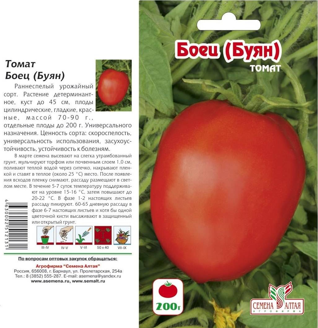Характеристика и описание сорта томата вояж, его урожайность