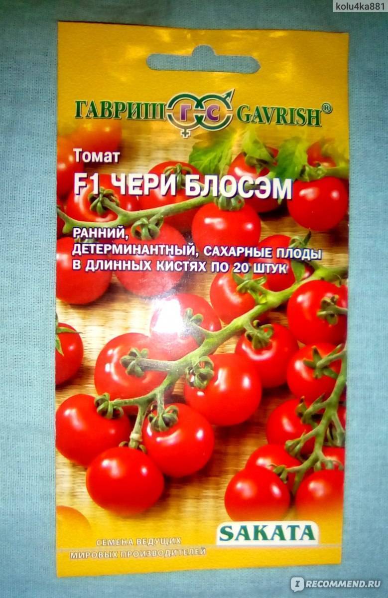 Томат черри блосэм f1: характеристика и описание сорта, урожайность с фото