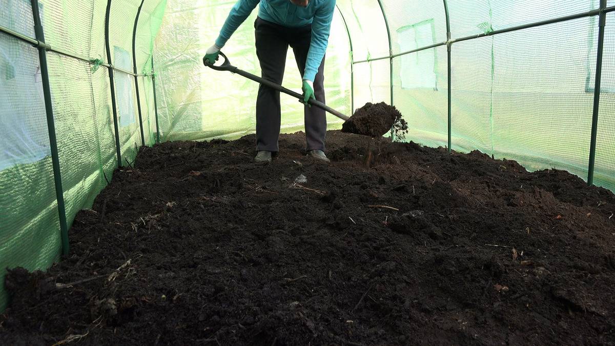 Почва для огурцов в теплице - какая нужна температура и состав, подготовка почвы перед посадкой